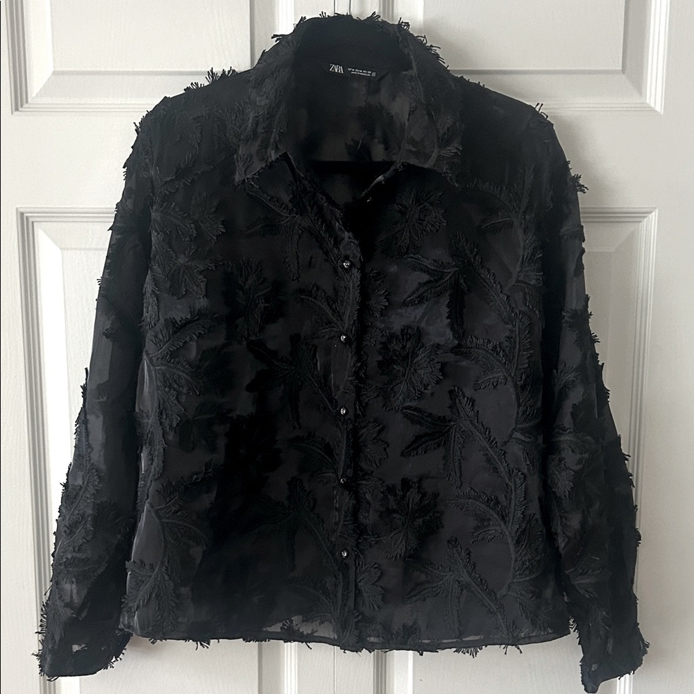 Zara Sheer Black Feather Appliqué Blouse Sz M